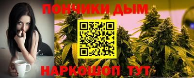 дмт Гай