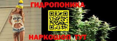 соль ск Гагарин