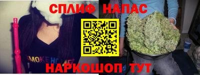 дмт Гай