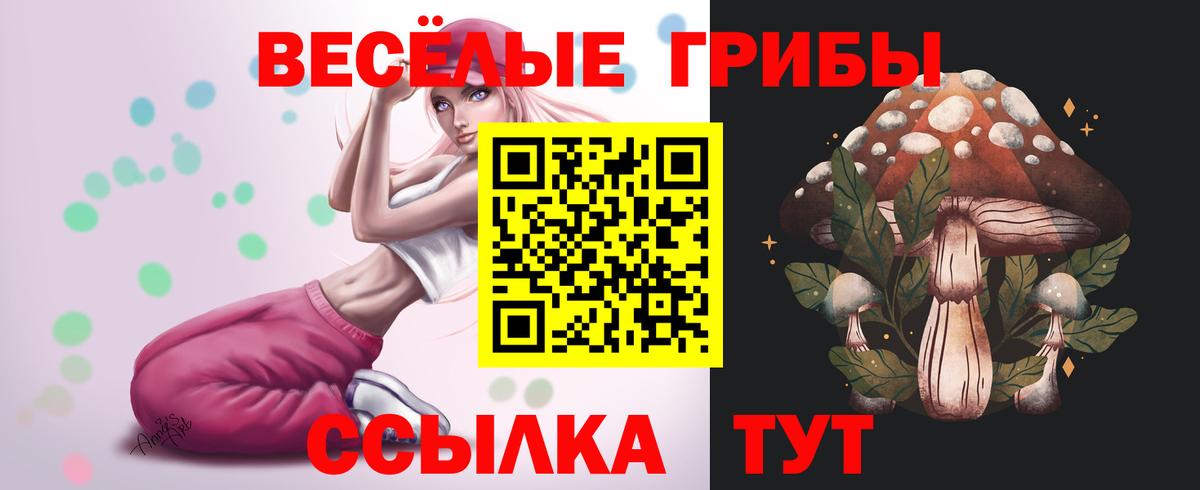 Галлюциногенные грибы MAGIC MUSHROOMS  Вход с VPN  Кинель  Галлюциногенные грибы прущие грибы 